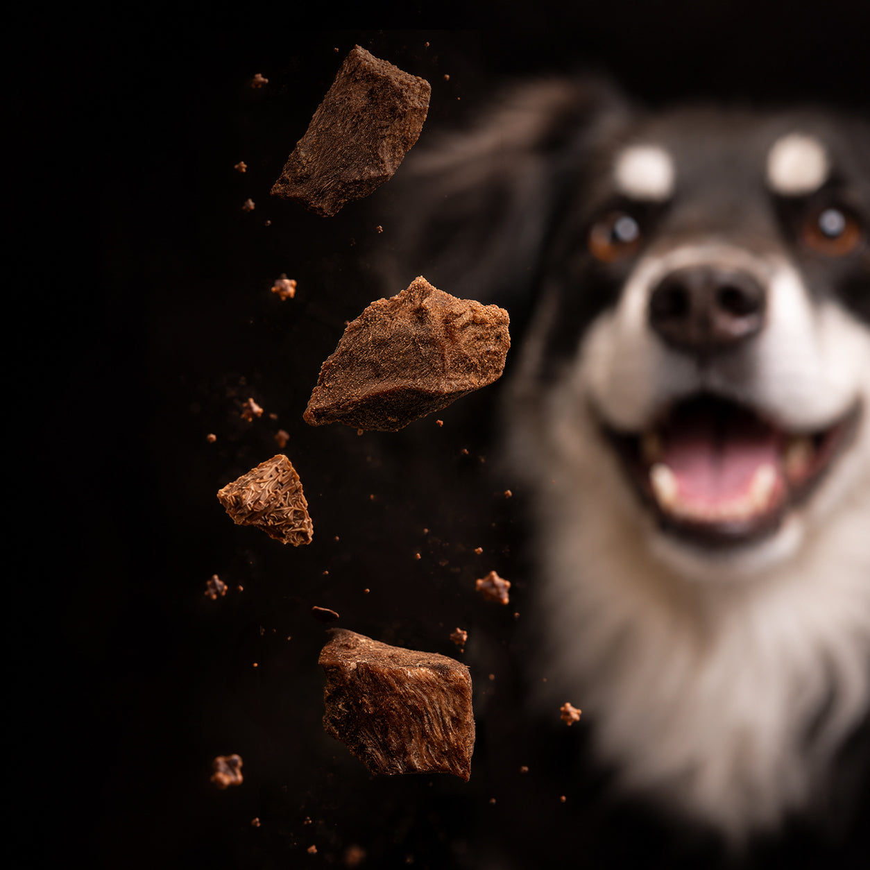 Freeze-Dried Raw Beef Heart Dog Treats