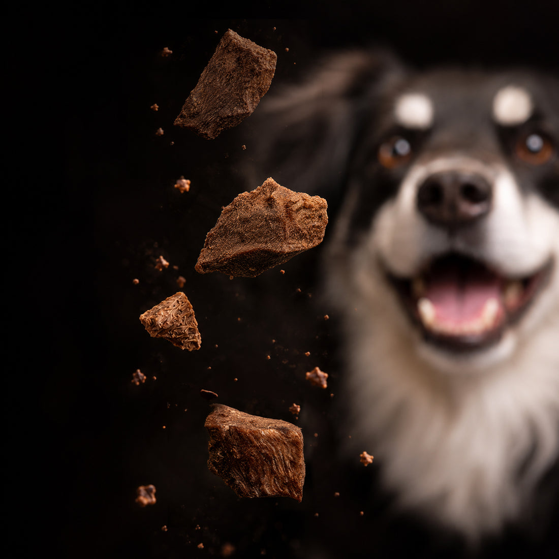 Freeze-Dried Raw Beef Heart Dog Treats